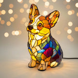 Corgi Happiness