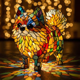 Vibrant Nain Spitz