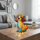 The Elegant Charm of the Poodle