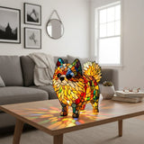 Vibrant Nain Spitz