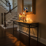 Luminous Protector